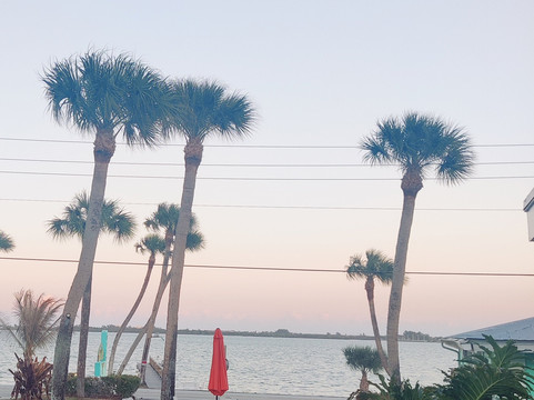 Driftwood Motel主图