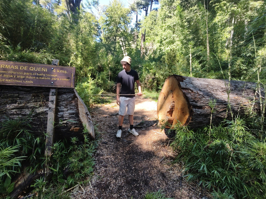 Termas De Queñi-圣马丁德洛斯安第斯必去景点