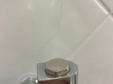 修道院之苑主图