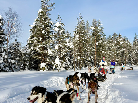 Trysil Husky-Torberget必去景点
