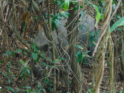 Ujung Kulon Trek-Carita必去景点