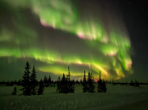 Discover Churchill Tours-丘吉尔必去景点