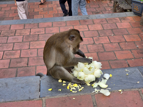 Van Son Pagoda-昆山岛必去景点
