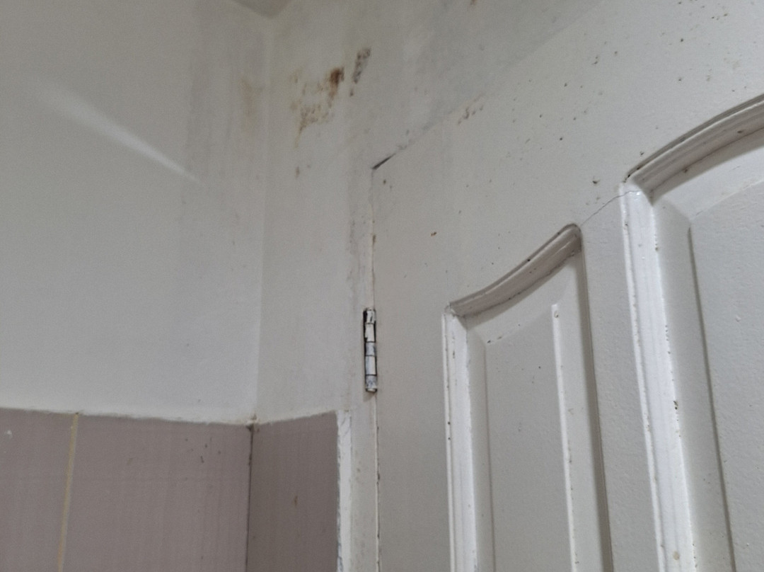 卡皮斯宅邸酒店主图