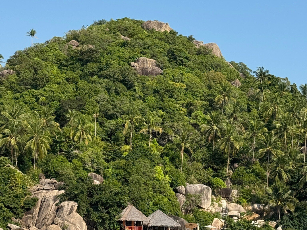 We Travel Snorkeling Adventures-涛岛必去景点