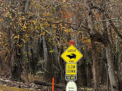 Tickfaw State Park-Springfield必去景点