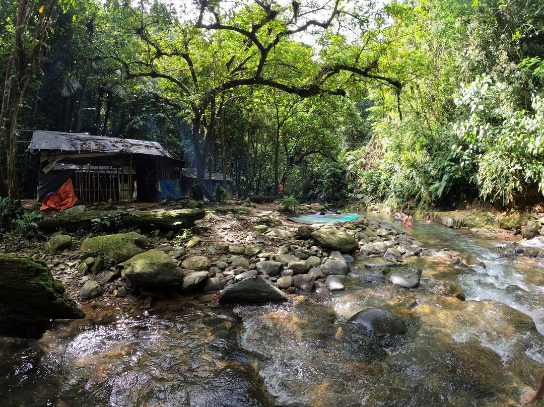 Bukit Lawang Jungle Treks-武吉拉旺必去景点