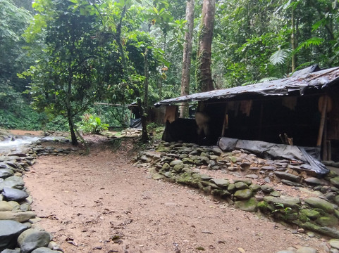 Sumatra Tour & Travel Bukit Lawang-武吉拉旺必去景点