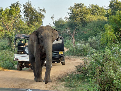 Prem Tours Sri Lanka-尼甘布必去景点