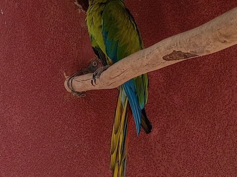 Parc Exotique Du Sénégal-恩加帕鲁必去景点