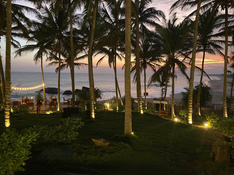 海龟湾大酒店主图