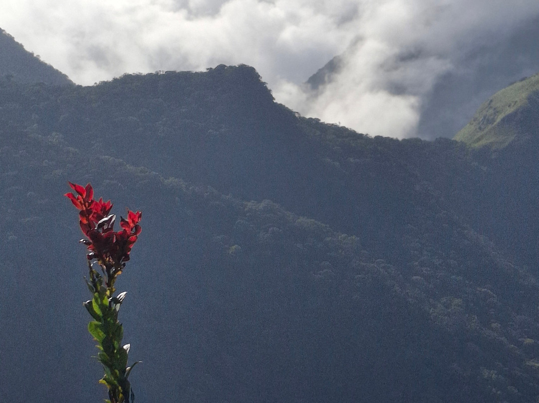 Experiential Journeys-科伦坡必去景点