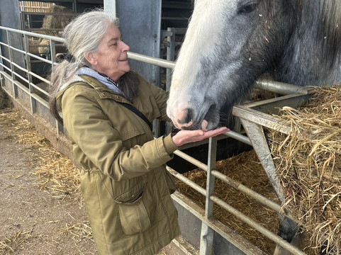 Cannon Hall Farm-Cawthorne必去景点