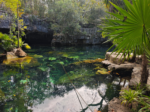 Pasku Dive-普拉亚德尔卡曼必去景点