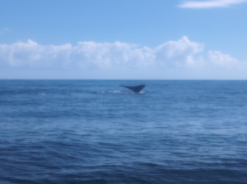 Moto Marina Tours-Santa Barbara de Samana必去景点