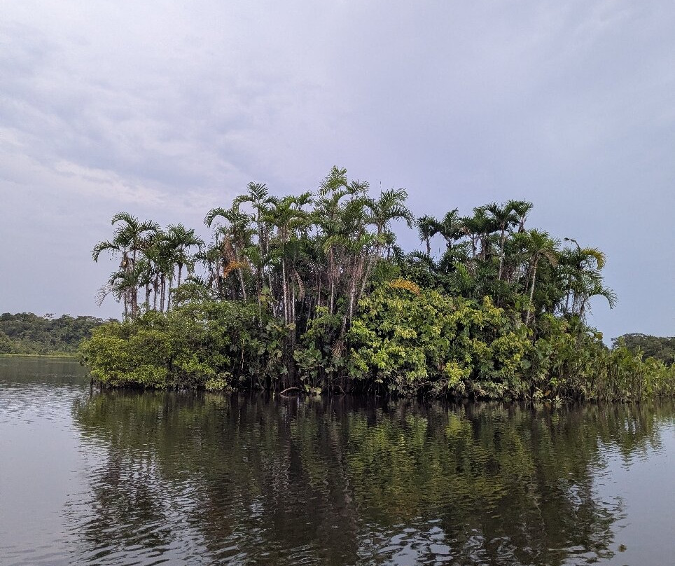 Parque Nacional del Yasuni - Fernando guia en la Amazonia-Coca必去景点