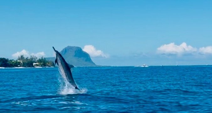 泰姬珍品度假村-官方