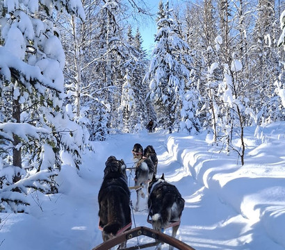 Wild Lapland-Rusktrask必去景点