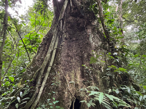 Muyaayu Wild Safaris-Mpigi必去景点