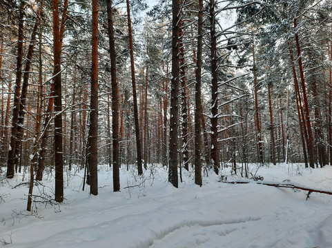 威乐斯生态酒店主图