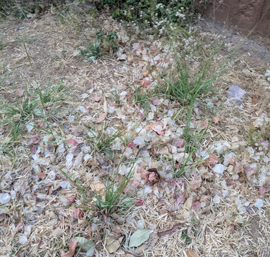 Leo Comforts River Side