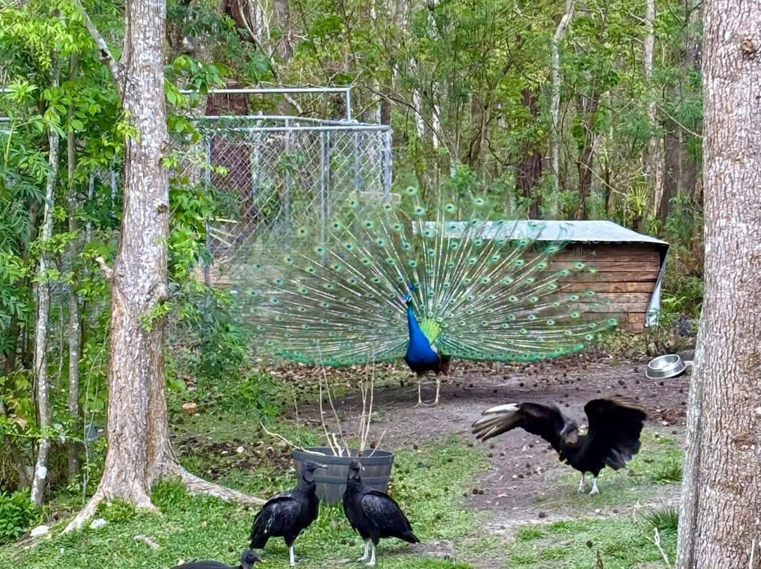 St. Augustine Wild Reserve-圣奥古斯丁必去景点