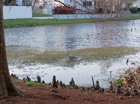 Lake Rianhard-Celebration必去景点