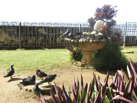 帕克达拉斯帕洛马斯-圣胡安必去景点