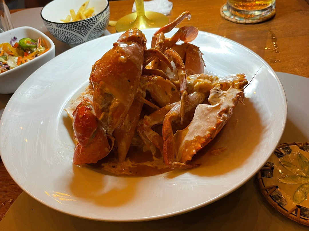 Tuk Tuk Island Unawatuna