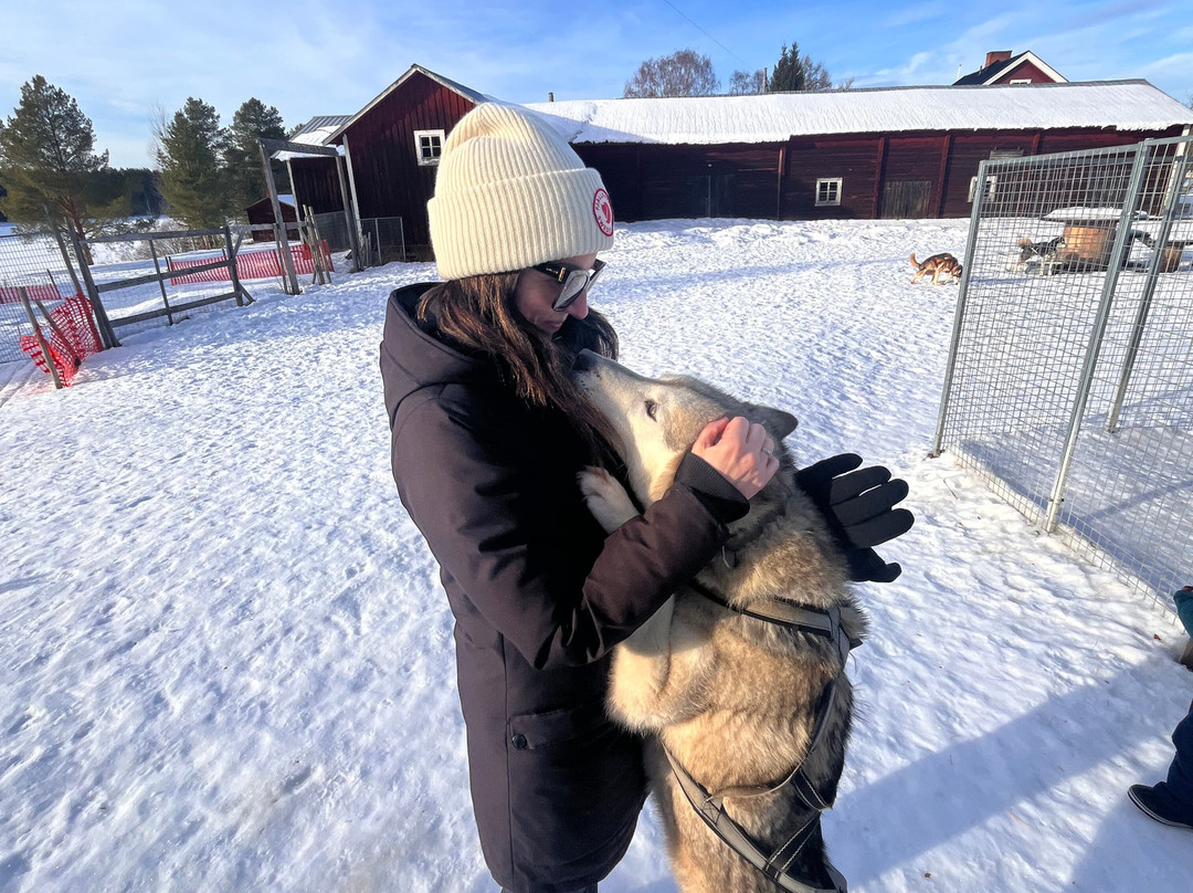 Aurora Borealis Adventures-Vindeln必去景点