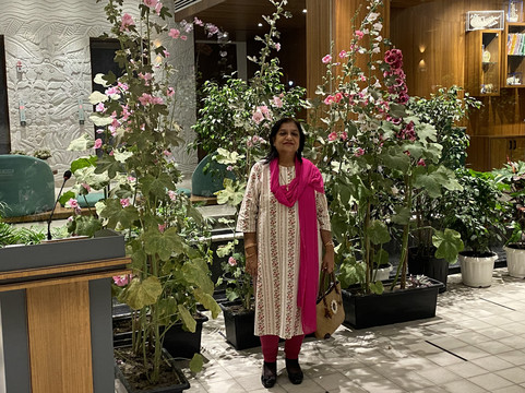 Royal Bishnu by Bishnu Inn