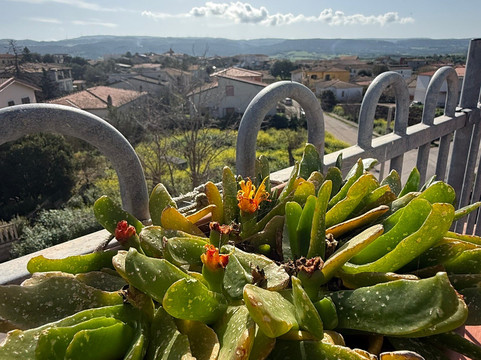 B&B Pani Silvio主图