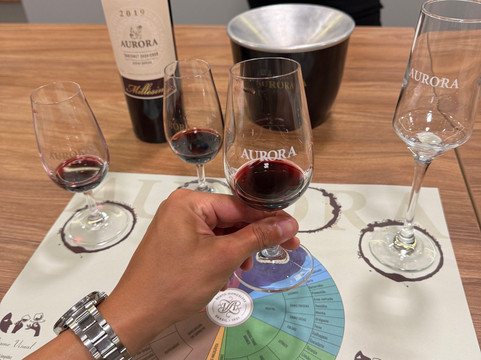 Aurora Winery-本图贡萨尔维斯必去景点