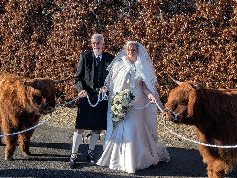 托伦斯酒店主图