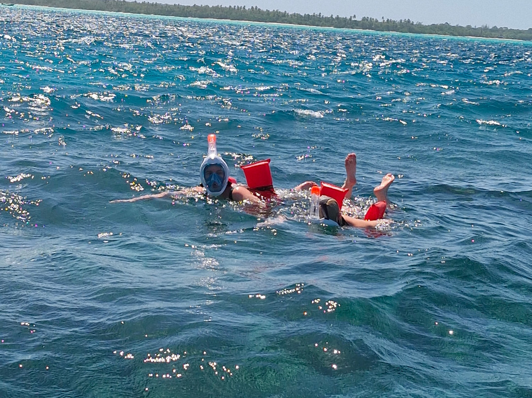 Island Man Tours-克朗波因特必去景点