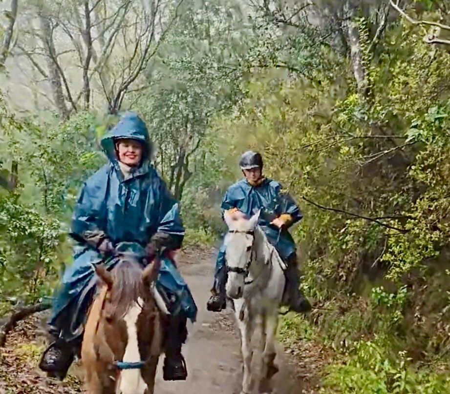 Equine Village by Quinta do Riacho-Santo da Serra必去景点