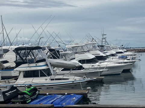 纳尔逊贝置地广场酒店主图