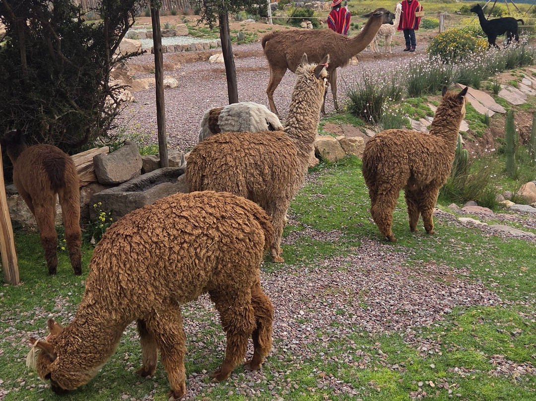 Mountain View Experiences-Maras必去景点