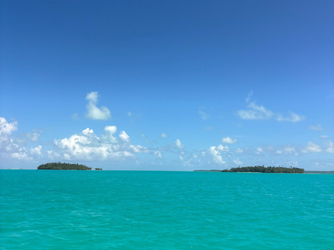 Silent One Lagoon Charters-艾图塔基必去景点