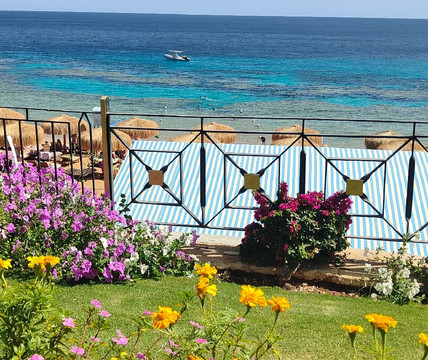 Andrea Vento Viaggi-Volla必去景点