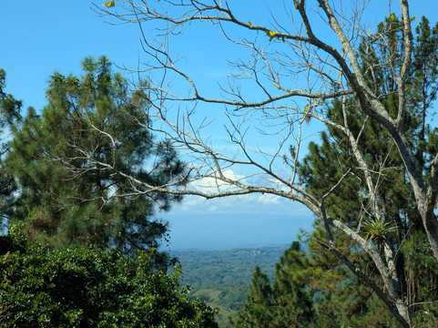Panama Relocation Tours-波魁特必去景点