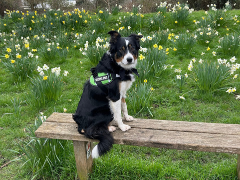 Lodmoor Country Park-韦茅斯必去景点