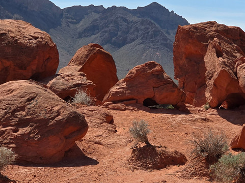 Prime Polaris Adventures - Duck Creek Village, Utah-Duck Creek Village必去景点