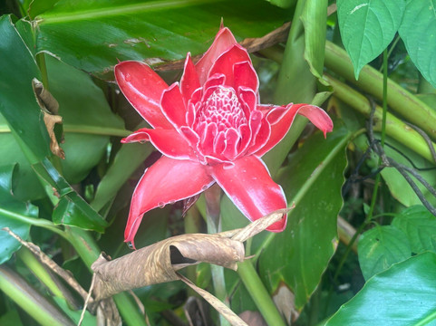 Marama Safari 4x4-法阿必去景点