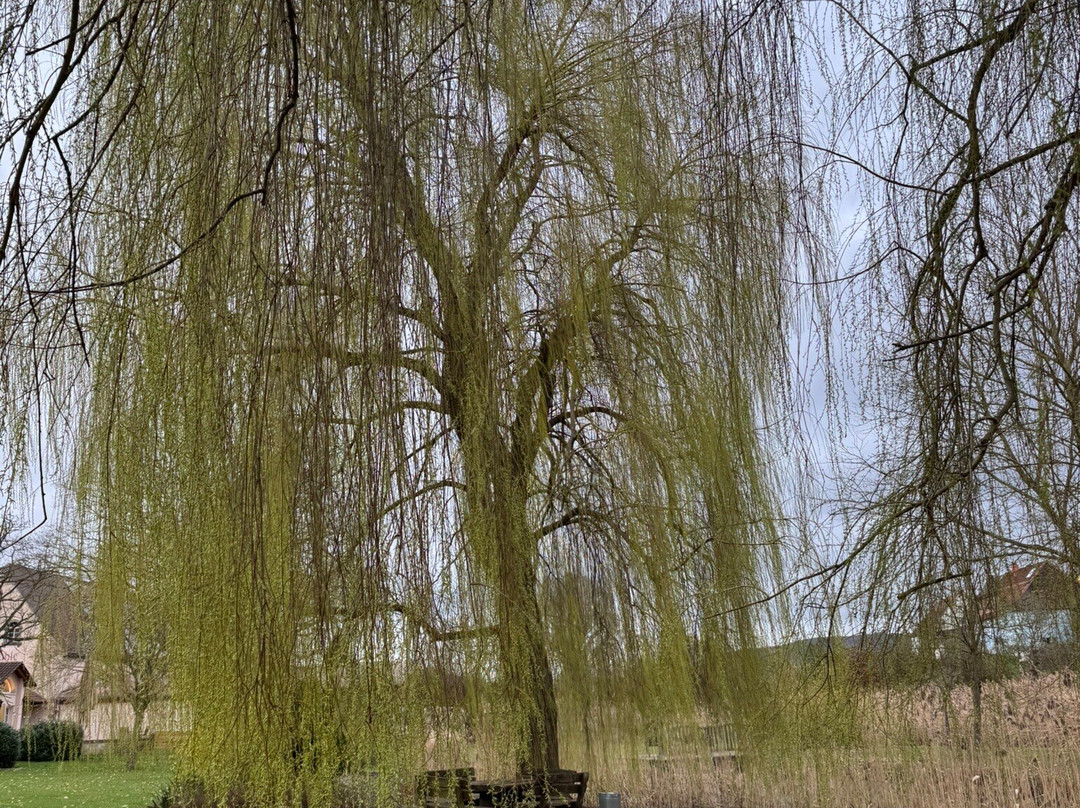 克洛斯特穆尔兰迪伊尔酒店主图