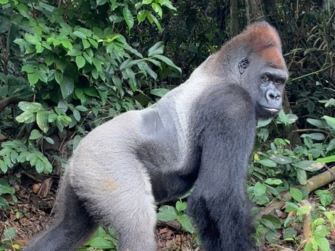 Lawanda Tours & Adventure-Pointe Noire必去景点