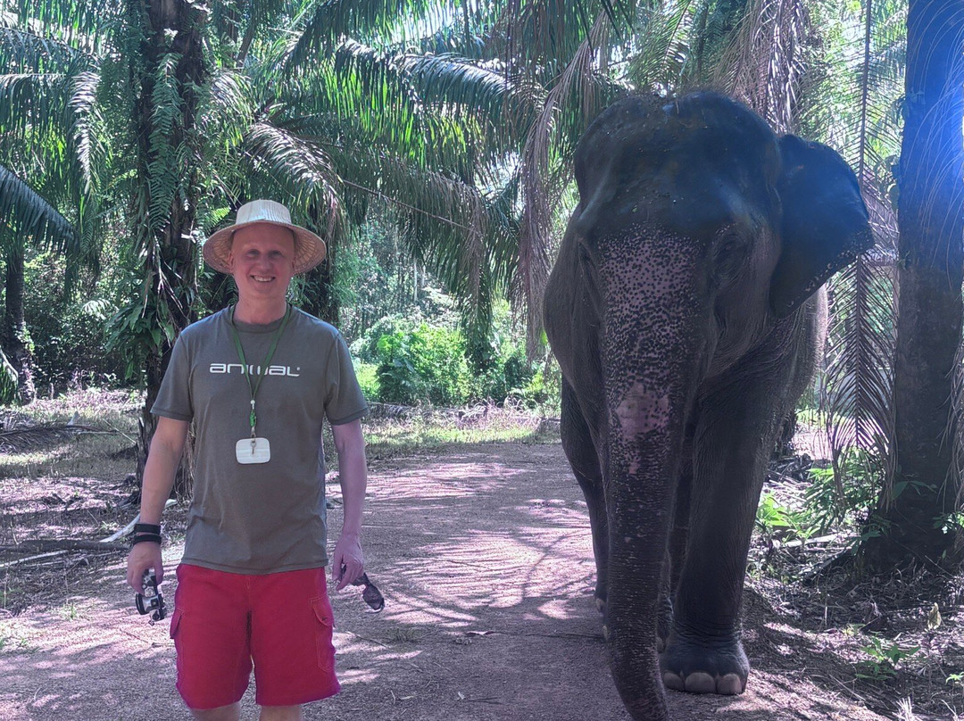 Krabi Elephant Sanctuary-甲米必去景点