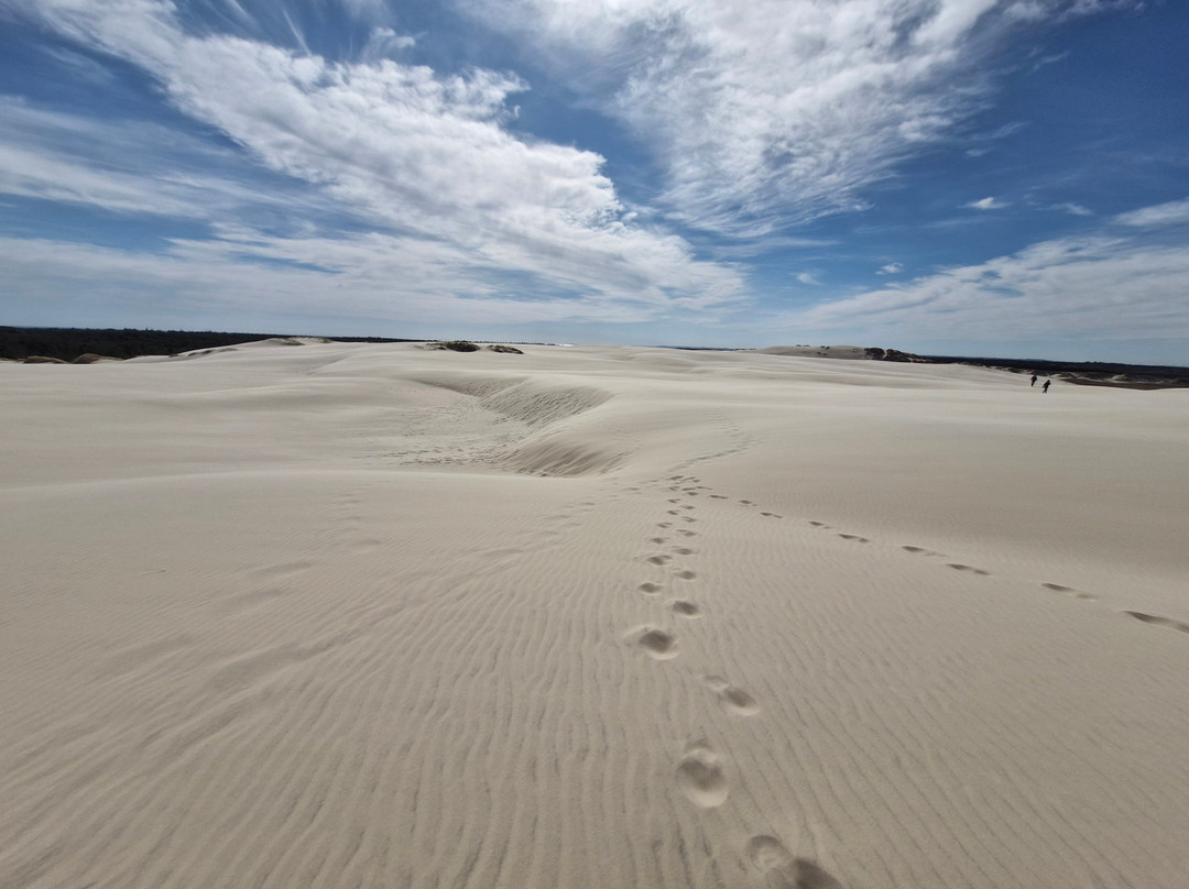 Råbjerg Mile-斯卡恩必去景点