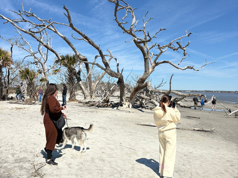 Jekyll Island Historic District-吉柯岛必去景点