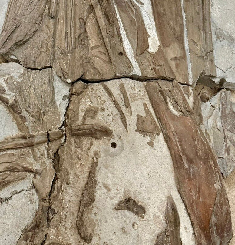 Dinosaurland Fossil Museum-莱姆里杰斯必去景点